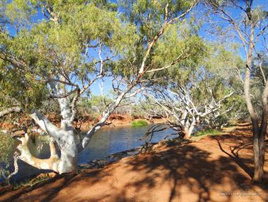 Cattle Pool, on the Lyons River, Mount Augustus, Upper Gascoyne, Western Australia